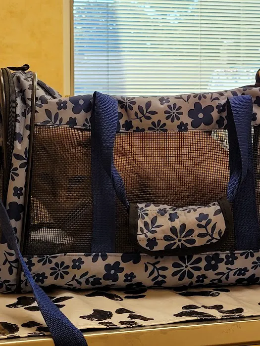 St Louis Hills Veterinary Clinic 12