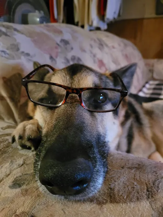 Lemay Animal Hospital Inc 12