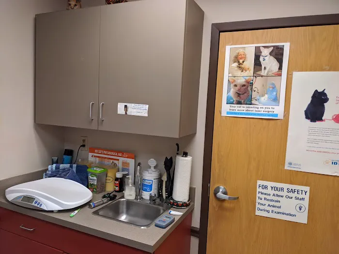 St Louis Cat Clinic 12