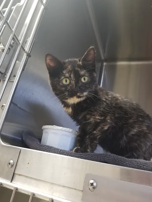 Jewell Animal Hospital 12
