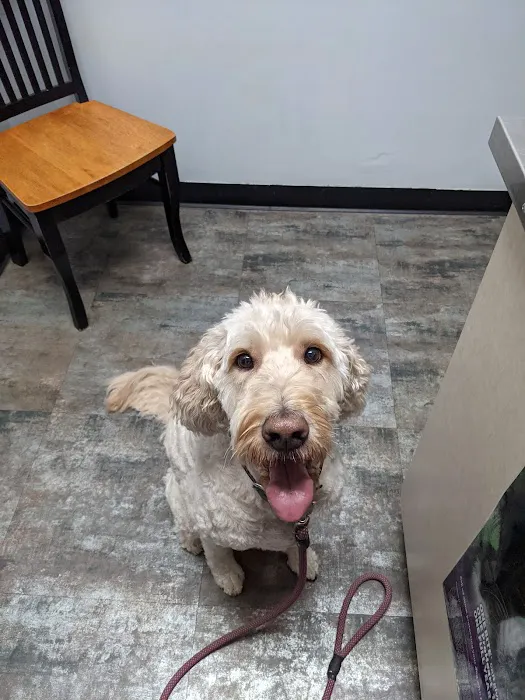 Watson Road Veterinary Clinic 5