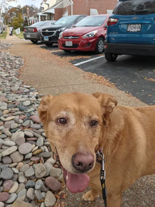 Watson Road Veterinary Clinic 9