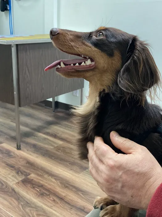 Chippewa Animal Hospital 12