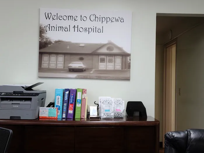 Chippewa Animal Hospital 12