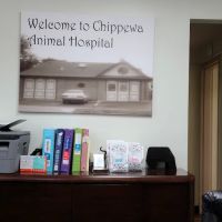 Chippewa Animal Hospital ico