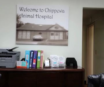 Chippewa Animal Hospital
