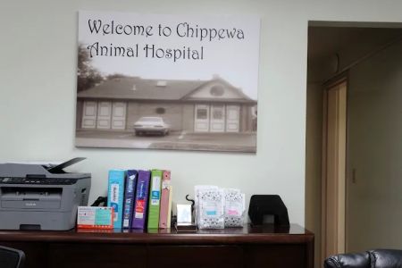 Chippewa Animal Hospital