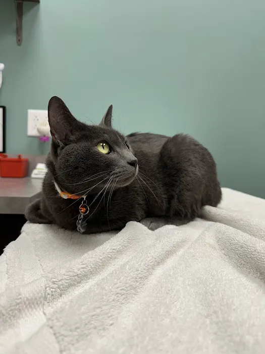 Chippewa Animal Hospital 12