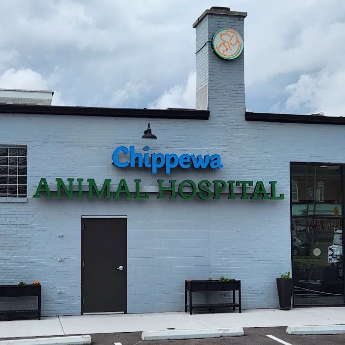 Chippewa Animal Hospital 12