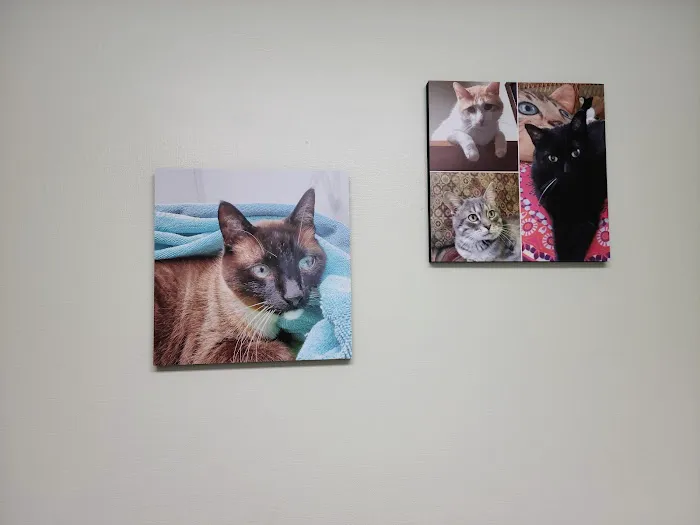 Chippewa Animal Hospital 12