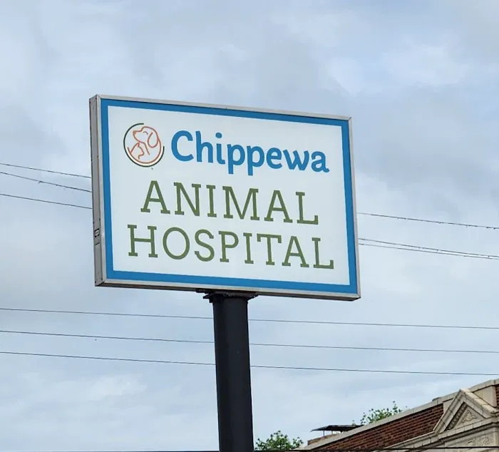 Chippewa Animal Hospital 12