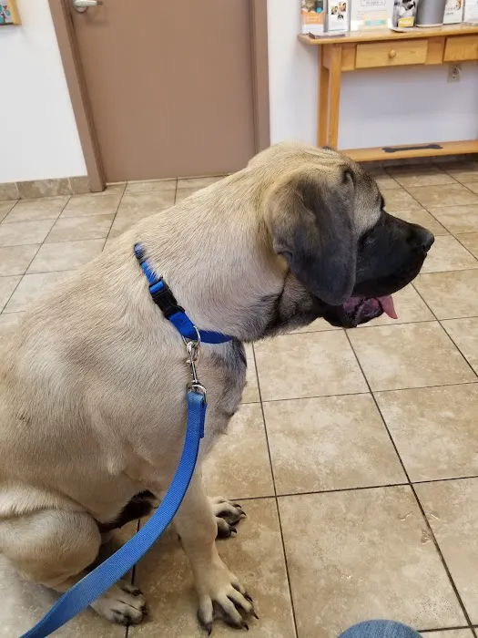 Shiloh Veterinary Hospital - East 1
