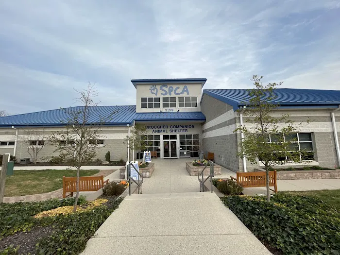 Spay/Neuter Clinic - York County SPCA 6