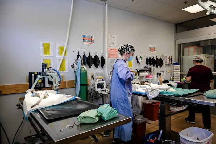 Spay/Neuter Clinic - York County SPCA 7