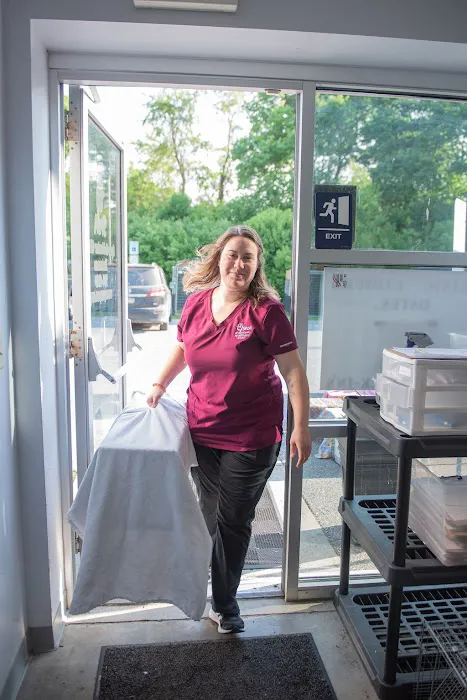 Spay/Neuter Clinic - York County SPCA 10