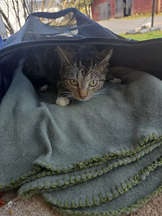 Spay/Neuter Clinic - York County SPCA 5