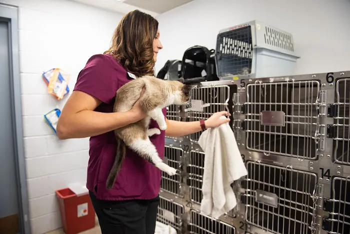 Spay/Neuter Clinic - York County SPCA 3