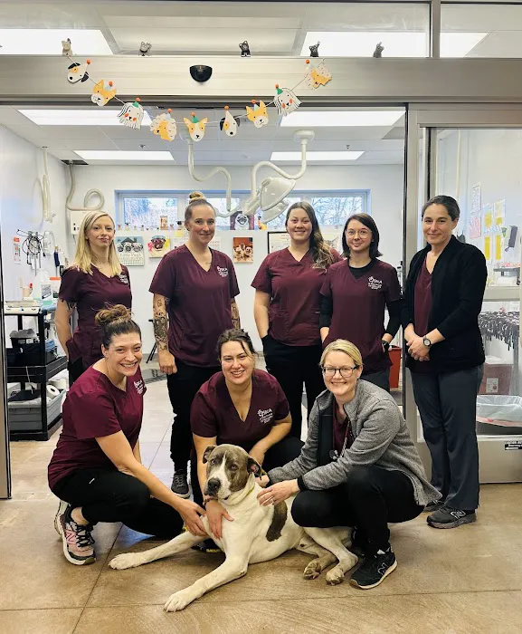 Spay/Neuter Clinic - York County SPCA 8