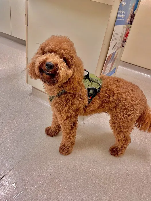 Dillsburg Veterinary Center 9