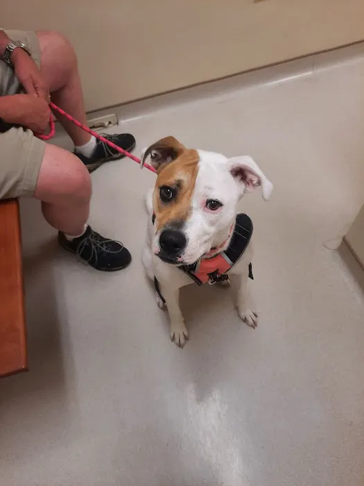 Dillsburg Veterinary Center 8
