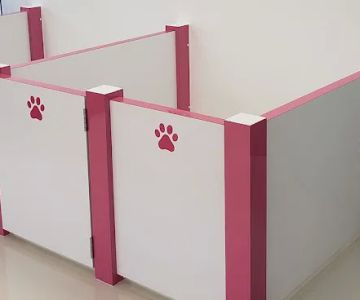 Cute Puppies