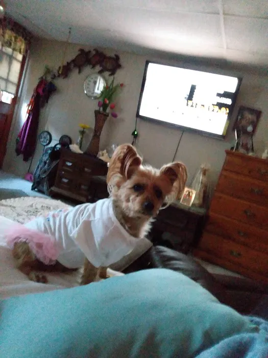 Aziz Animal Hospital 6