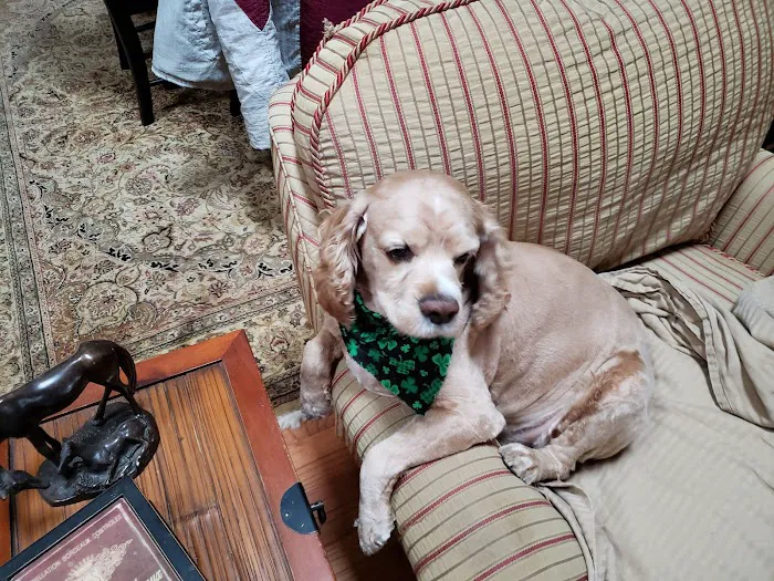Elizabethtown Animal Hospital 12