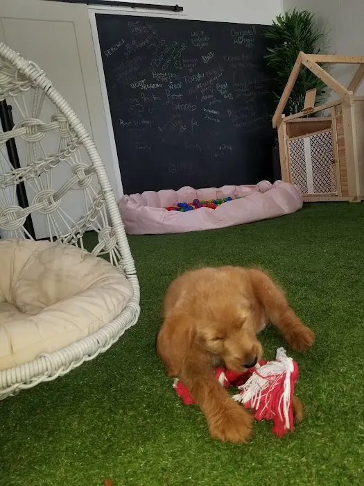 Puppy City 2
