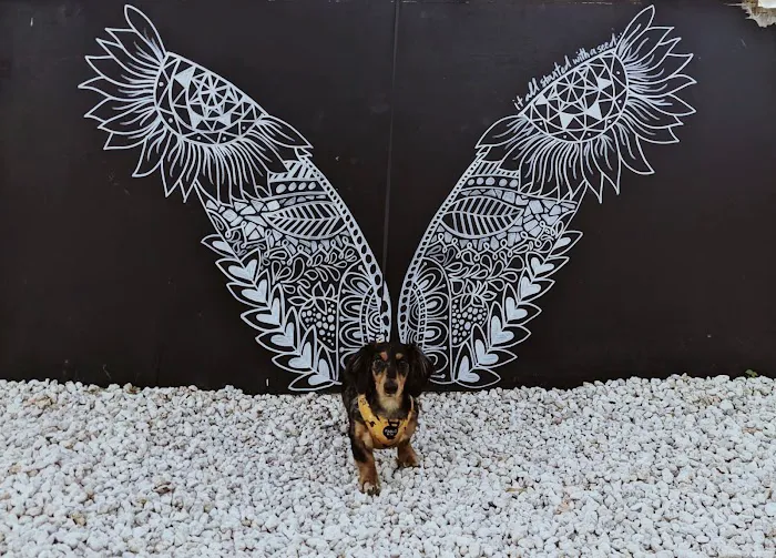 Puppy City 3