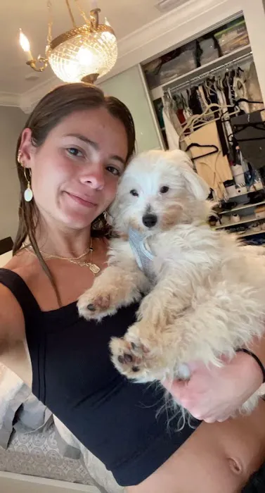 Puppy City 5