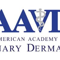 American Academy-Vet Dermatology ico