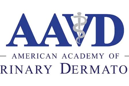 American Academy-Vet Dermatology