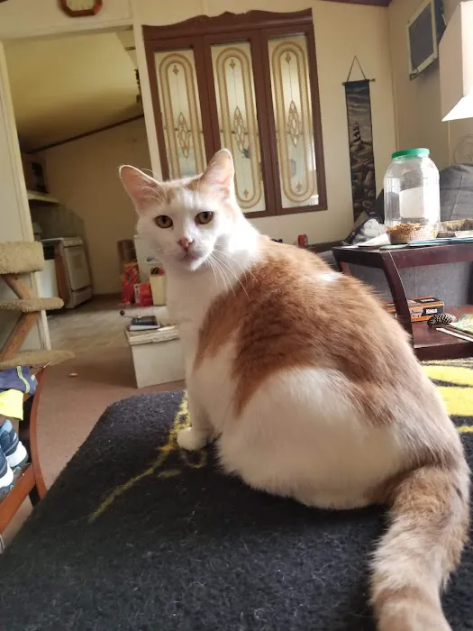 Silver Springs Animal Clinic 5