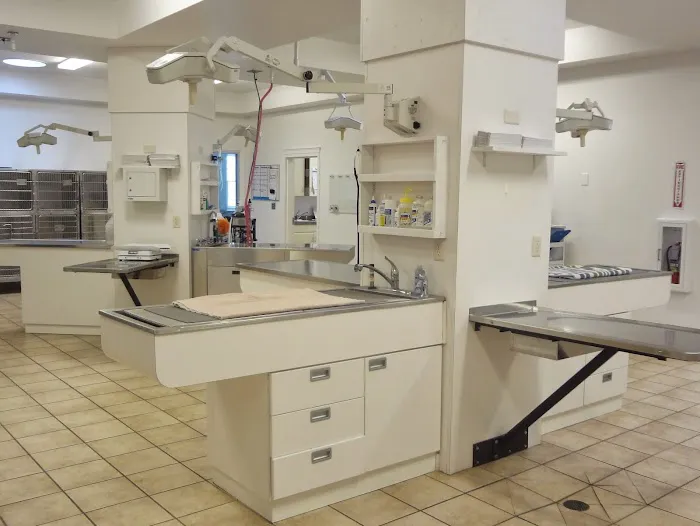 VCA Willow Mill Animal Hospital 7
