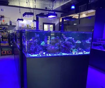 Ocean View Aquariums