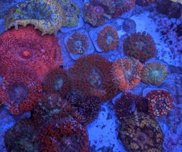 Hydros Aquatics