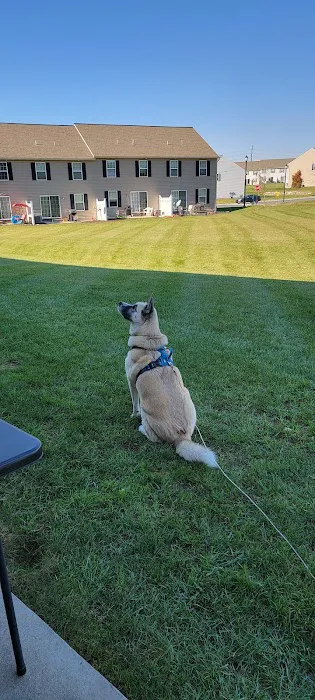 Annville Veterinary Hospital 12