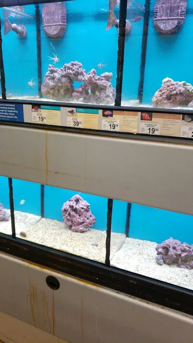 Petco 2