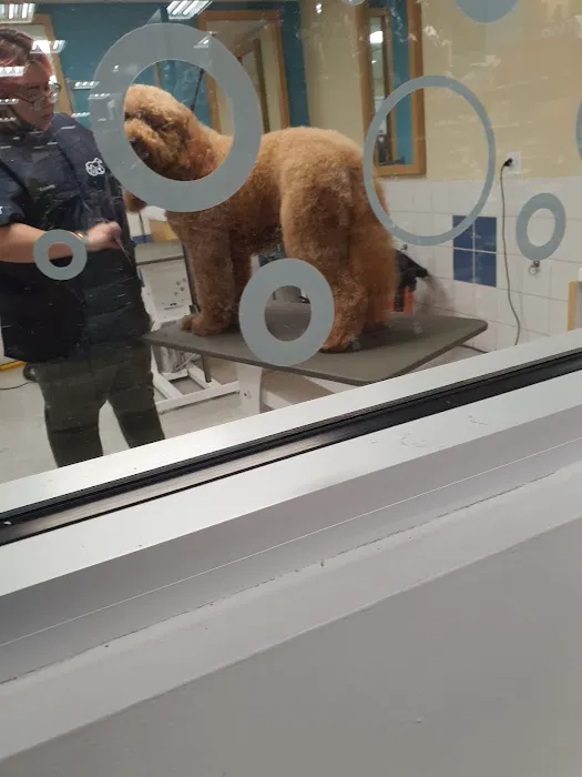 Petco 6