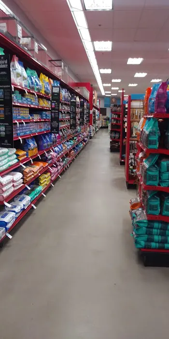 Petco 4