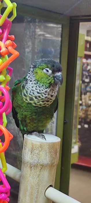 Petco 7