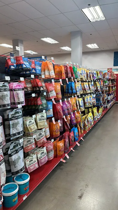 Petco 5