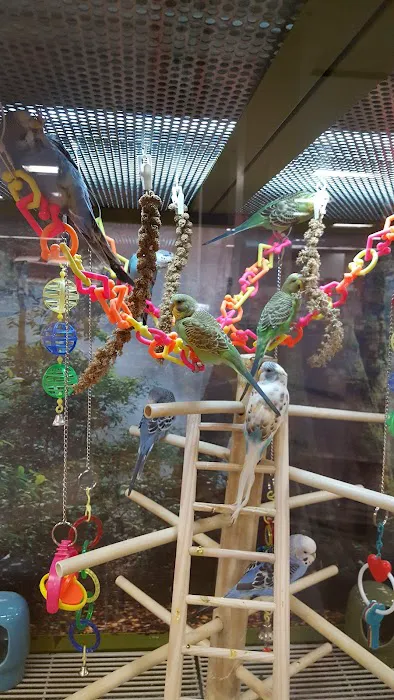 Petco 1