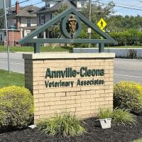 Annville-Cleona Veterinary Associates, Inc. ico