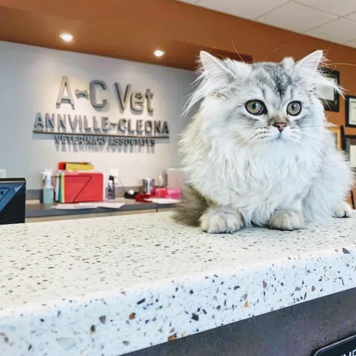 Annville-Cleona Veterinary Associates, Inc. 12
