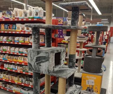 Petco