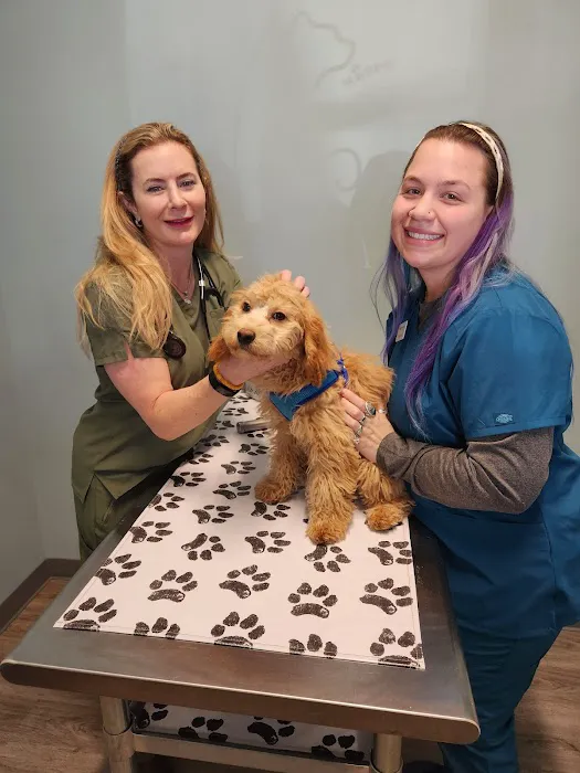 easyvet Veterinarian Fort Mill 5