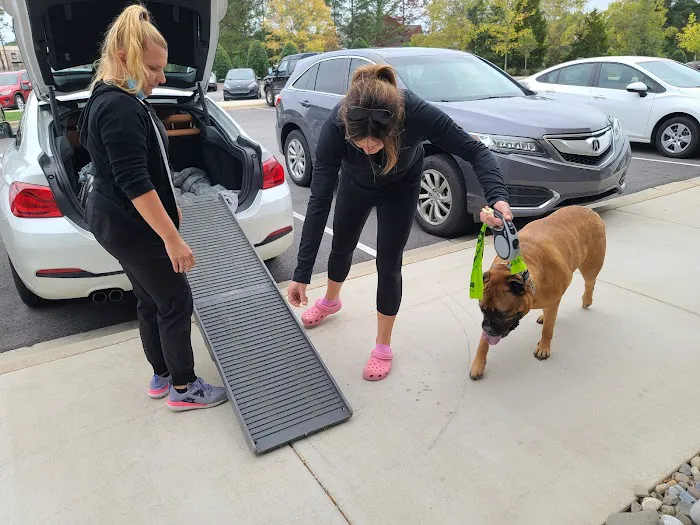 Bridgemill Animal Hospital 3