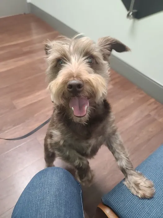Bridgemill Animal Hospital 1
