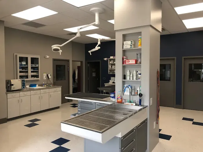 Bridgemill Animal Hospital 8